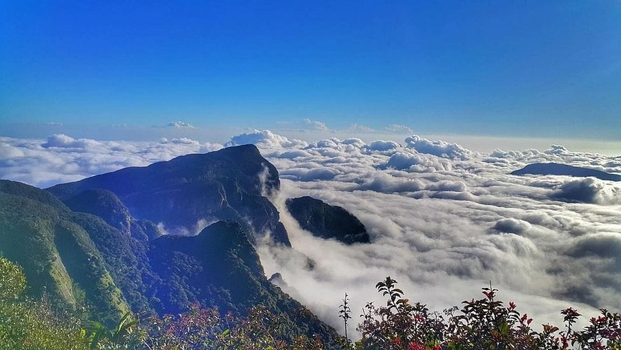Nature Paradise Trek - Image 3